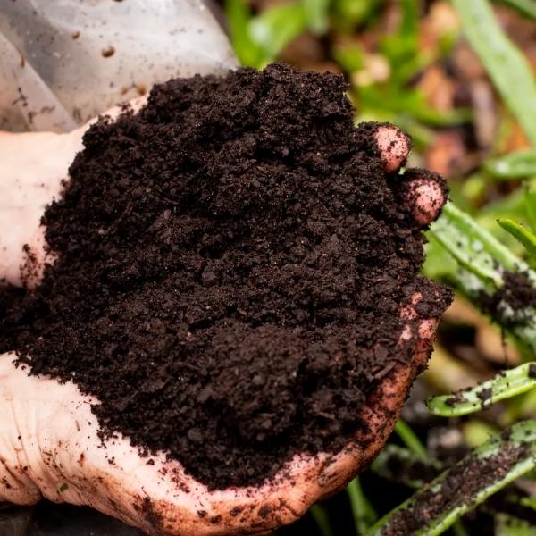 ৪০ কেজি জৈব সার/ Organic Fertilizer (Compost)
